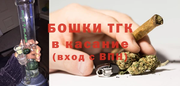 индика Беломорск