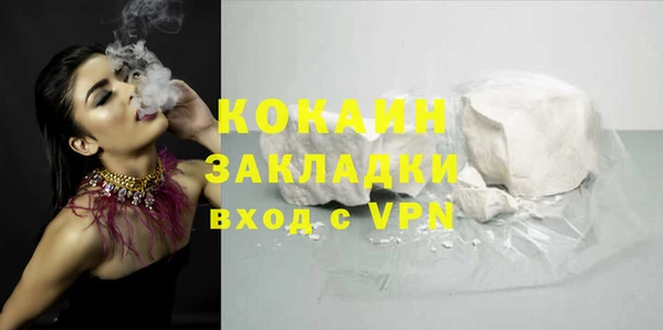 индика Беломорск