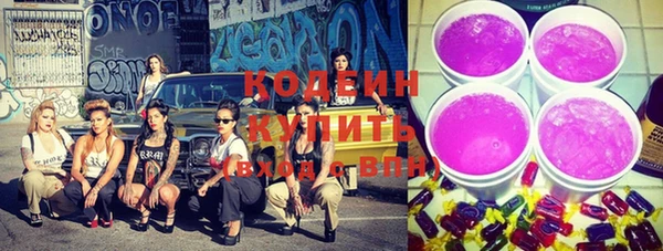 индика Беломорск
