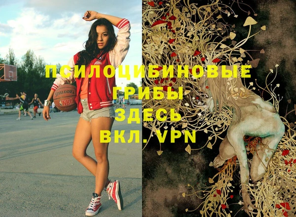 индика Беломорск