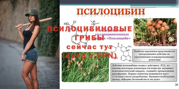 индика Беломорск