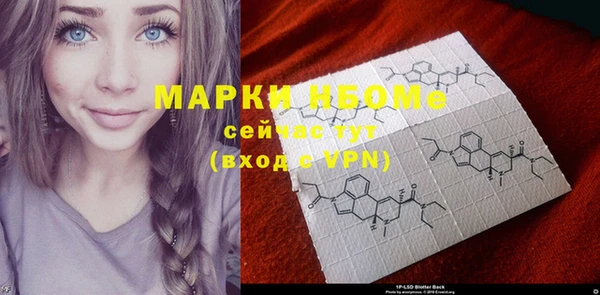 индика Беломорск
