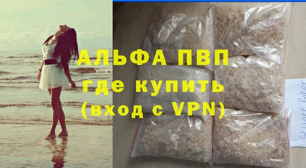 индика Беломорск