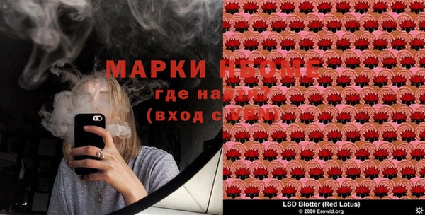 индика Беломорск