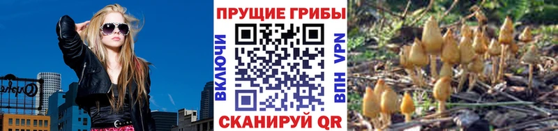 Галлюциногенные грибы Psilocybine cubensis Купить закладки Озёрск
