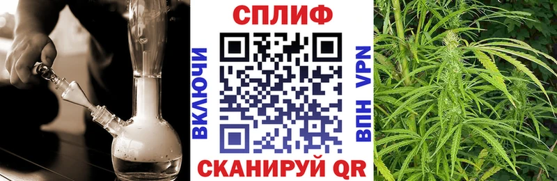 Купить где Озёрск Бошки Шишки план